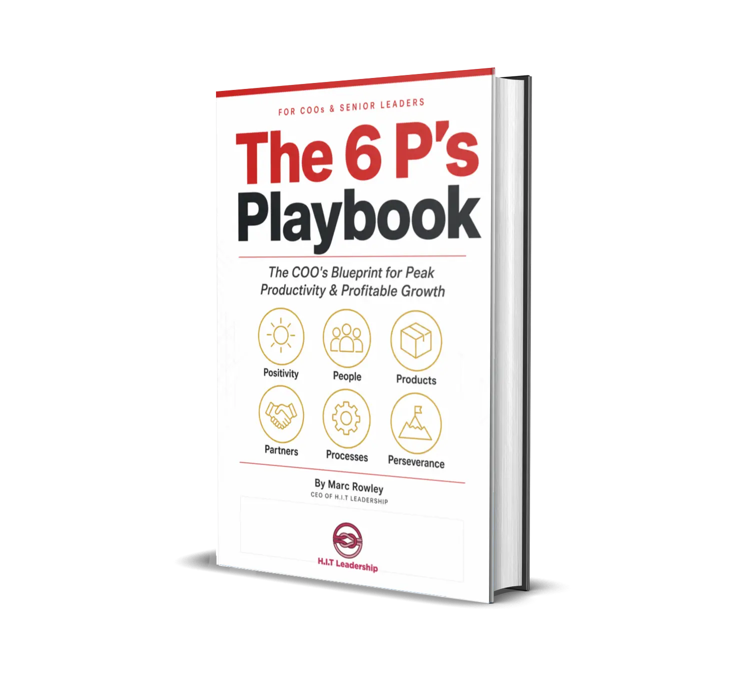 6 P's Playbook Cover